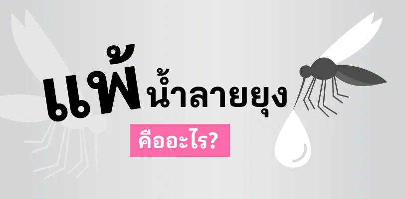 Blog ยุงกัดเป็นผื่นแดง เกิดจากอะไร 02 Article